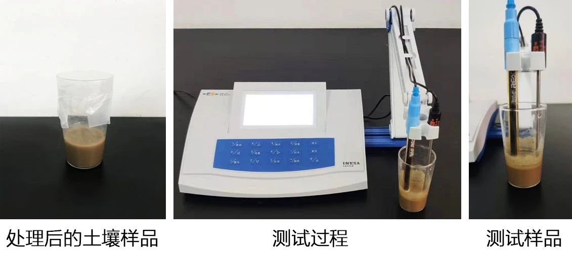 土壤酸堿，一測(cè)便知(圖2)